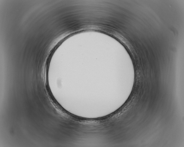 X0000112541127200909281053