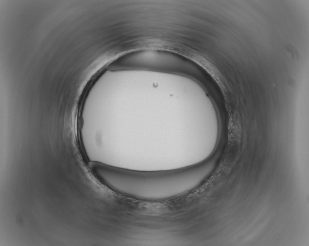 X0000112541128200909281053