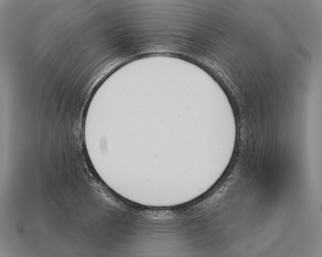 X0000112541129200909281053