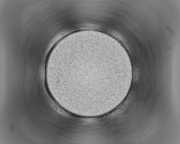 X0000112541130200909281053
