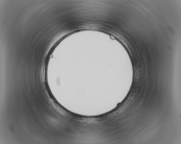 X0000112541131200909281053