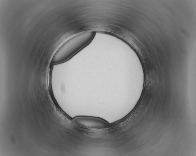 X0000112541132200909281053