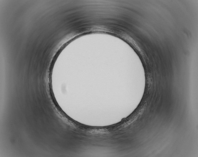 X0000112541133200909281054