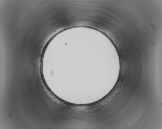 X0000112541134200909281054