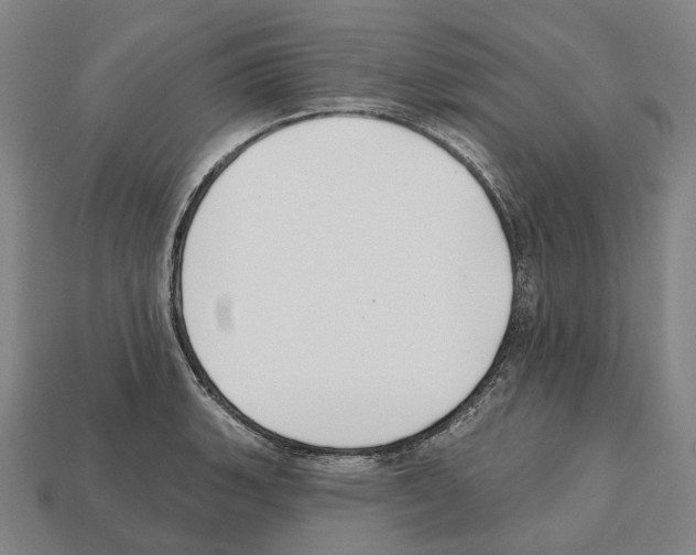X0000112541135200909281054