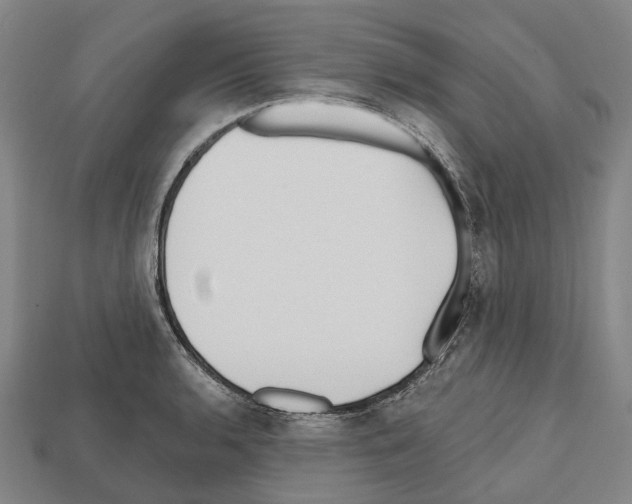 X0000112541136200909281054