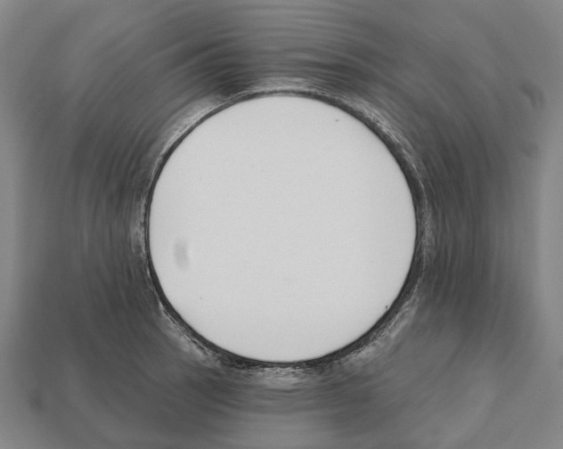 X0000112541137200909281054