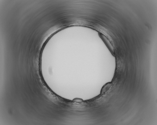 X0000112541138200909281054