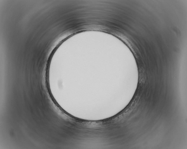 X0000112541139200909281054