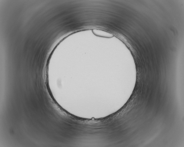 X0000112541140200909281054