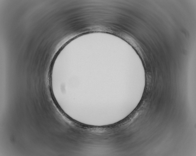 X0000112541141200909281054