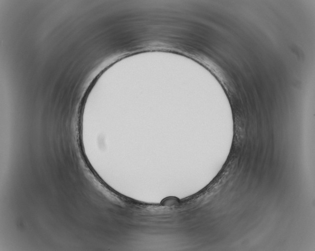 X0000112541142200909281054