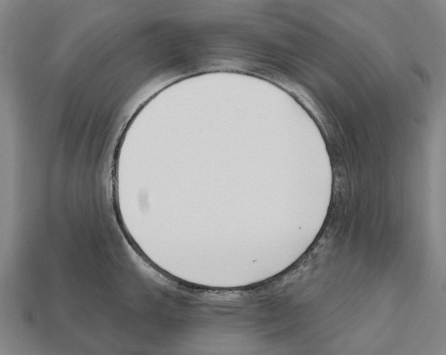X0000112541143200909281054