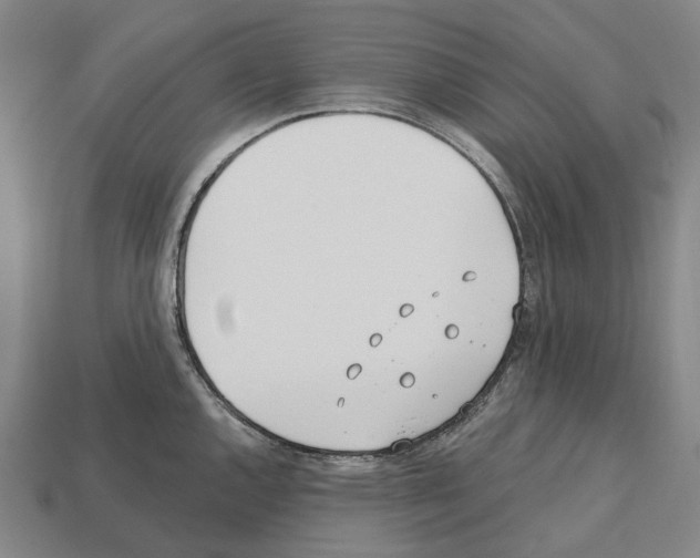 X0000112541144200909281054