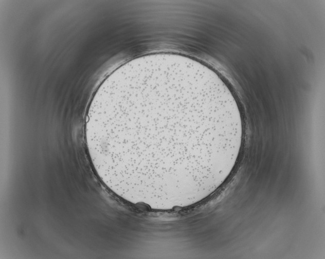 X0000112541145200909281054