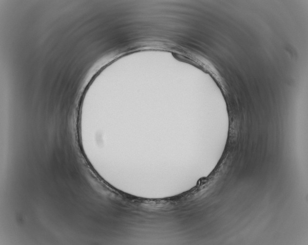 X0000112541146200909281054
