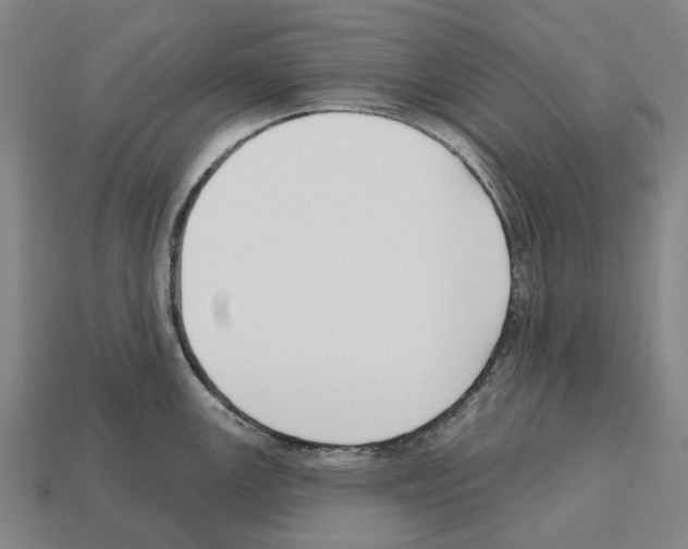 X0000112541147200909281054