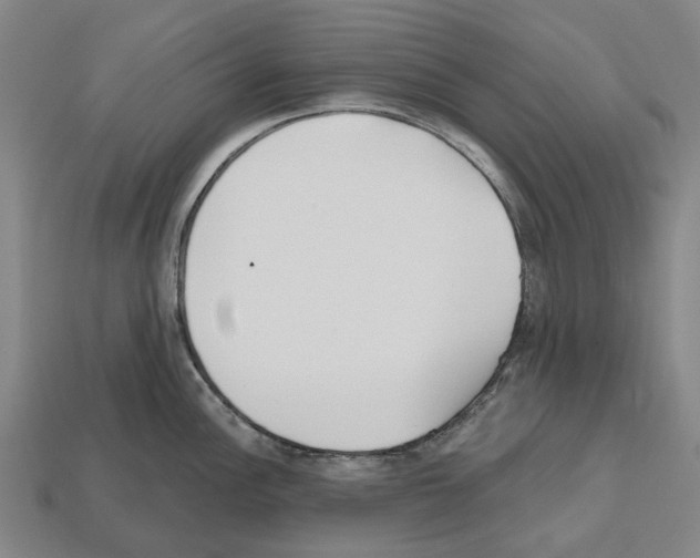 X0000112541148200909281054