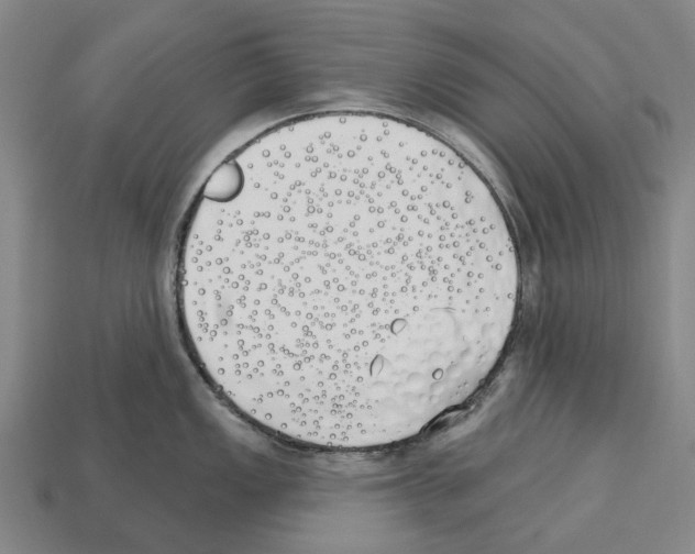 X0000112541149200909281054