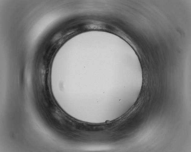 X0000112541151200909281054