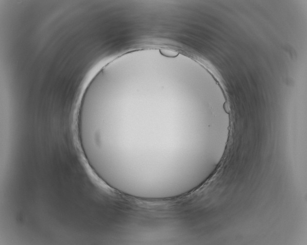 X0000112541152200909281054