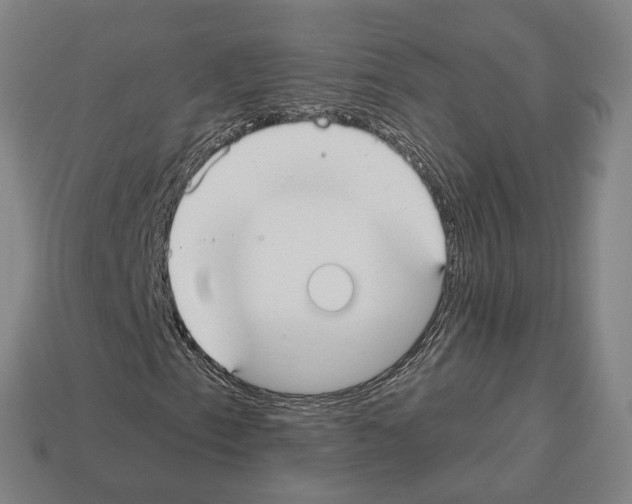 X0000112541153200909281053