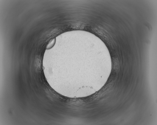 X0000112541154200909281053