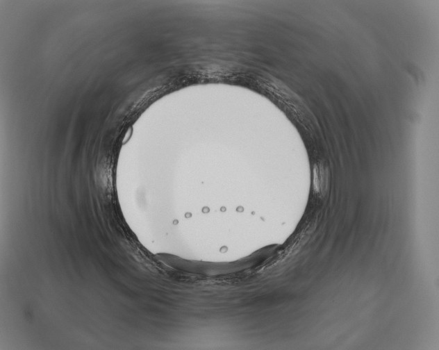 X0000112541155200909281053