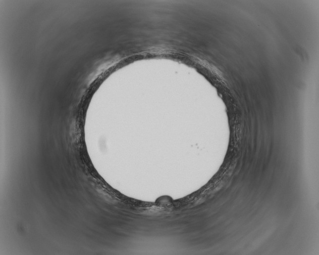 X0000112541160200909281053