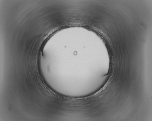 X0000112541162200909281053