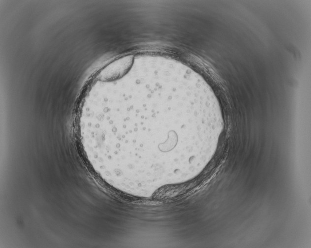 X0000112541164200909281053
