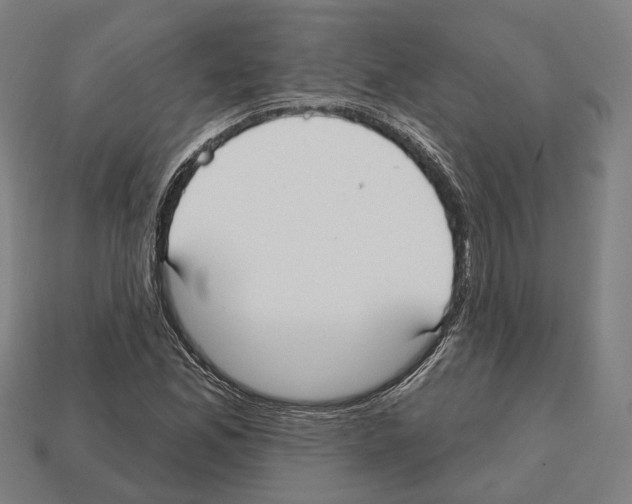 X0000112541165200909281053