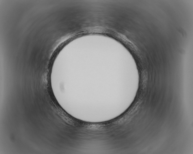 X0000112541166200909281053