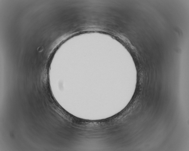 X0000112541167200909281053