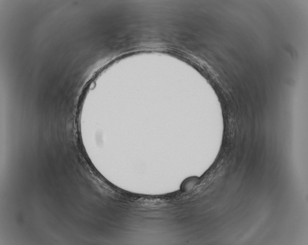 X0000112541168200909281053