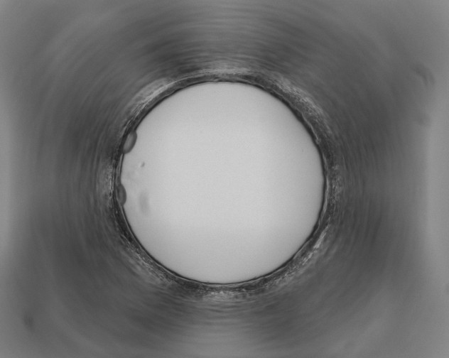 X0000112541169200909281053