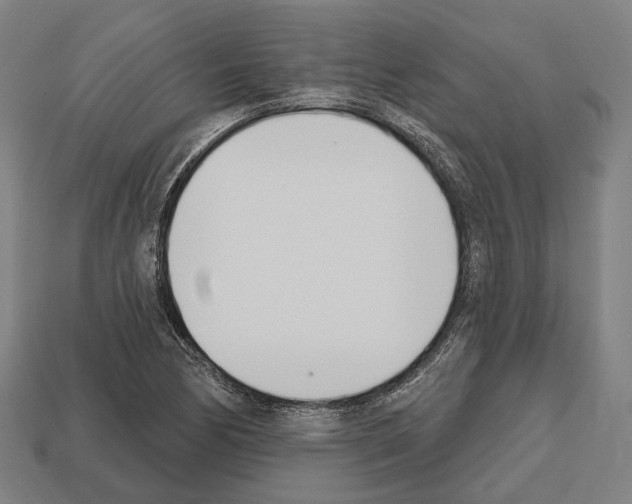 X0000112541170200909281053