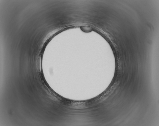 X0000112541171200909281053