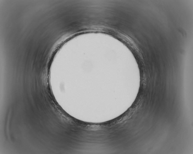 X0000112541172200909281053