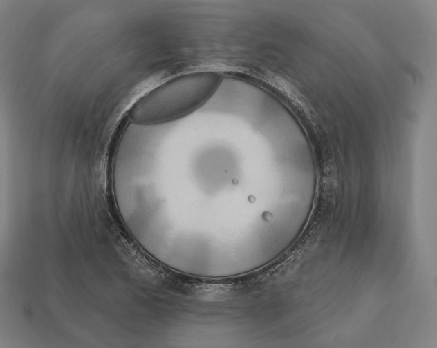 X0000112541173200909281053