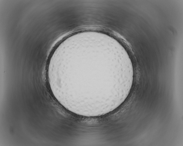 X0000112541174200909281053