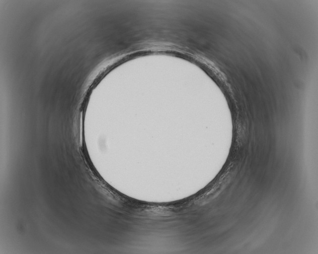 X0000112541175200909281053