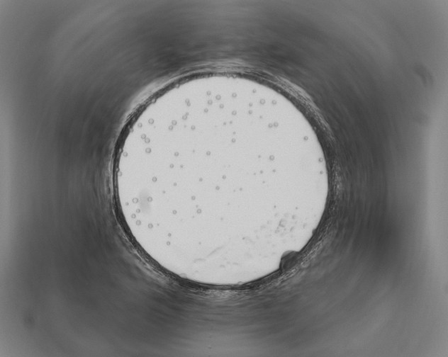 X0000112541176200909281053