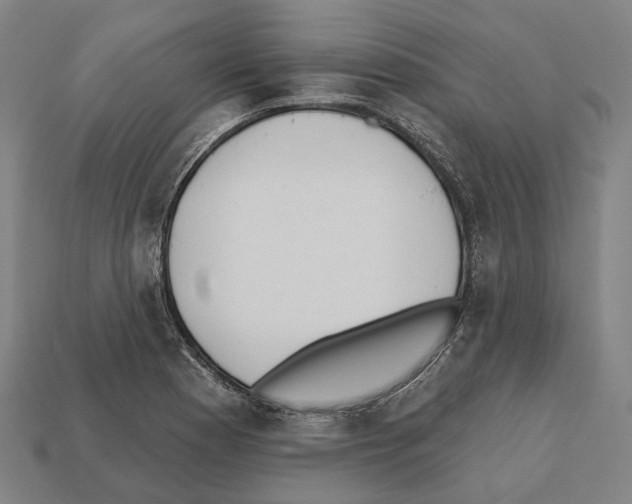 X0000112541177200909281053
