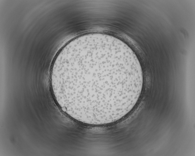 X0000112541178200909281053