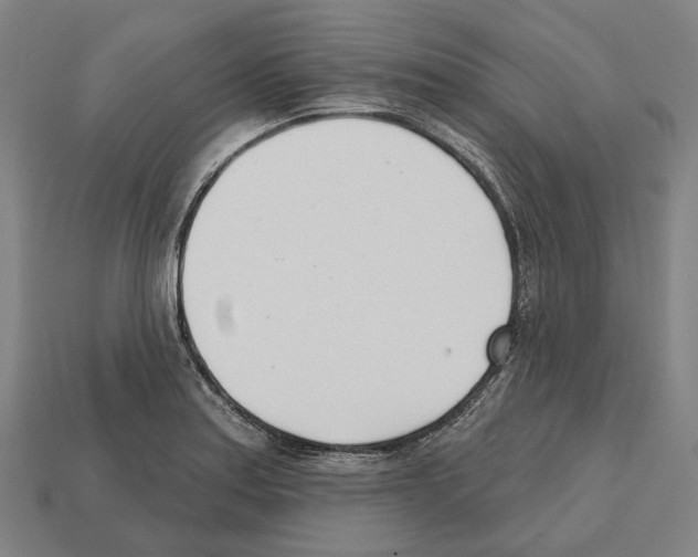 X0000112541179200909281053