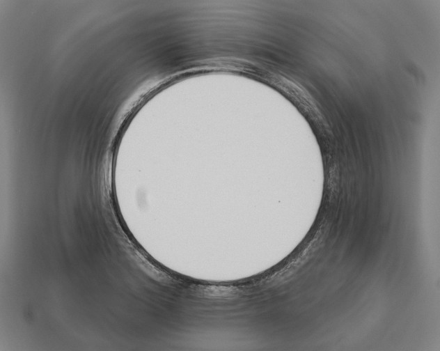 X0000112541180200909281053