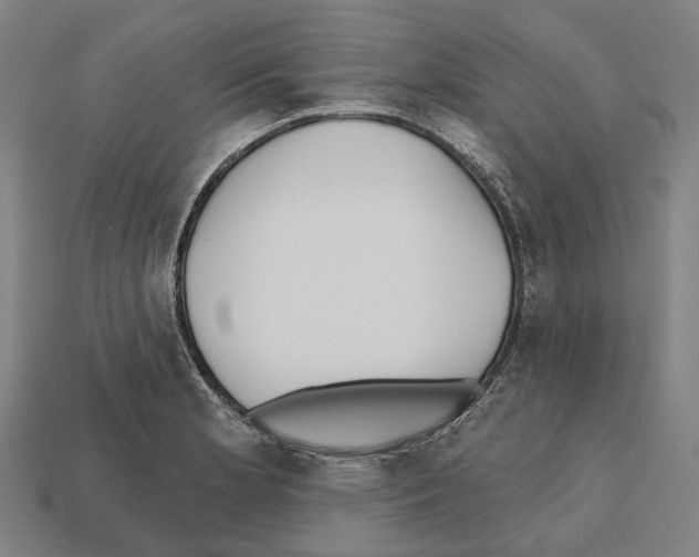 X0000112541181200909281053
