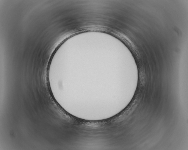 X0000112541182200909281053