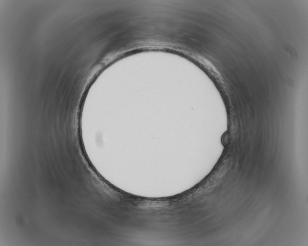 X0000112541183200909281053